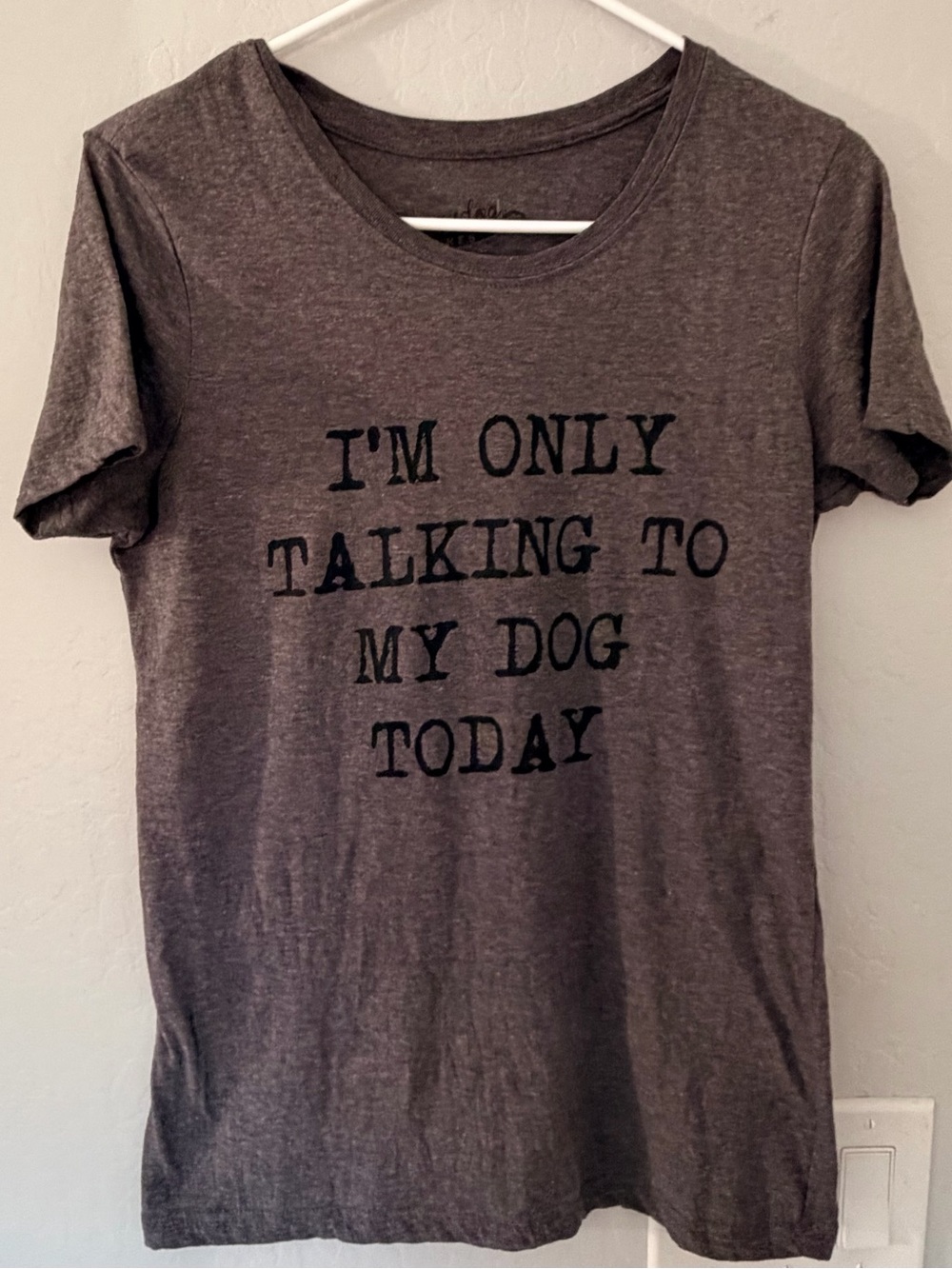Crazy Dog T-Shirts Gray 'I'm Only Talking To My Dog Today' Graphic Tee